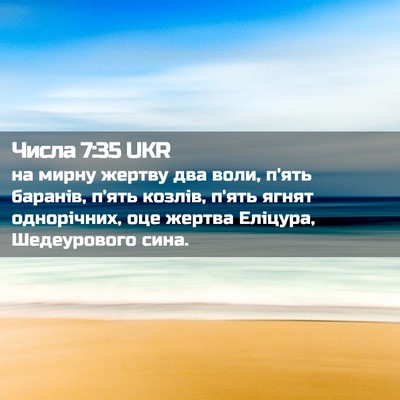 Picture 02 - Числа 7:35 UKR - на мирну жертву два воли, - Bible Verse Picture