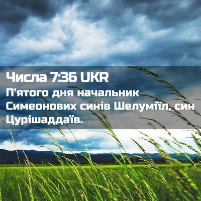 Picture 02 - Числа 7:36 UKR - П'ятого дня начальник - Bible Verse Picture
