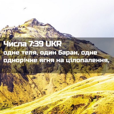 Picture 02 - Числа 7:39 UKR - одне теля, один баран, одне - Bible Verse Picture