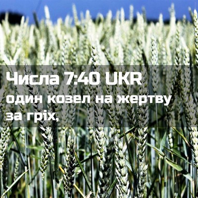 Picture 02 - Числа 7:40 UKR - один козел на жертву за - Bible Verse Picture