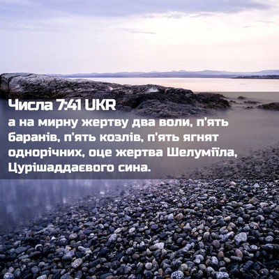 Picture 02 - Числа 7:41 UKR - а на мирну жертву два воли, - Bible Verse Picture