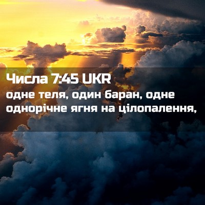 Picture 02 - Числа 7:45 UKR - одне теля, один баран, одне - Bible Verse Picture