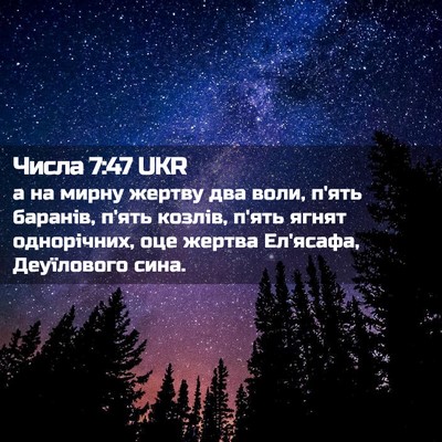 Picture 02 - Числа 7:47 UKR - а на мирну жертву два воли, - Bible Verse Picture
