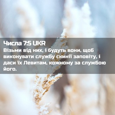 Picture 02 - Числа 7:5 UKR - Візьми від них, і будуть - Bible Verse Picture