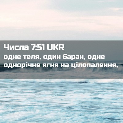 Picture 02 - Числа 7:51 UKR - одне теля, один баран, одне - Bible Verse Picture