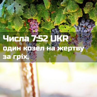 Picture 02 - Числа 7:52 UKR - один козел на жертву за - Bible Verse Picture