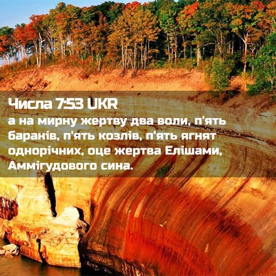 Picture 02 - Числа 7:53 UKR - а на мирну жертву два воли, - Bible Verse Picture