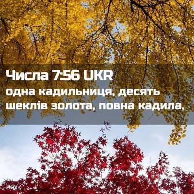Picture 02 - Числа 7:56 UKR - одна кадильниця, десять - Bible Verse Picture