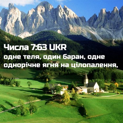 Picture 02 - Числа 7:63 UKR - одне теля, один баран, одне - Bible Verse Picture