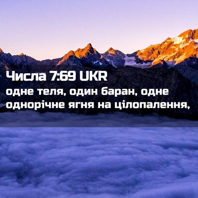 Picture 02 - Числа 7:69 UKR - одне теля, один баран, одне - Bible Verse Picture