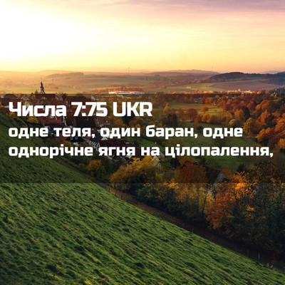 Picture 02 - Числа 7:75 UKR - одне теля, один баран, одне - Bible Verse Picture