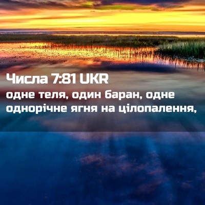 Picture 02 - Числа 7:81 UKR - одне теля, один баран, одне - Bible Verse Picture