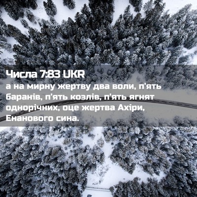 Picture 02 - Числа 7:83 UKR - а на мирну жертву два воли, - Bible Verse Picture
