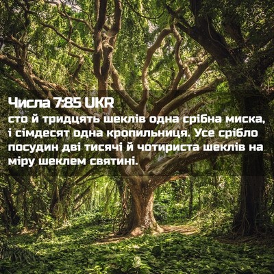 Picture 02 - Числа 7:85 UKR - сто й тридцять шеклів одна - Bible Verse Picture