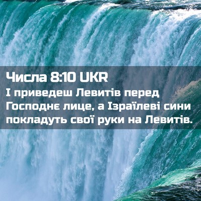 Picture 02 - Числа 8:10 UKR - І приведеш Левитів перед - Bible Verse Picture