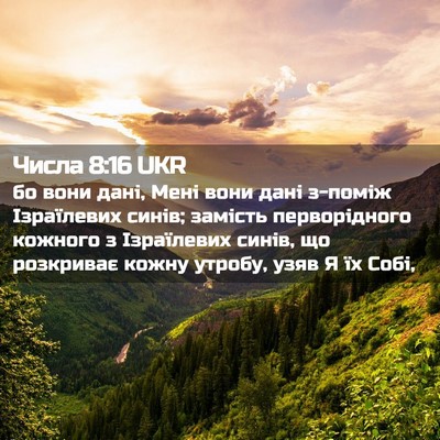 Picture 02 - Числа 8:16 UKR - бо вони дані, Мені вони - Bible Verse Picture