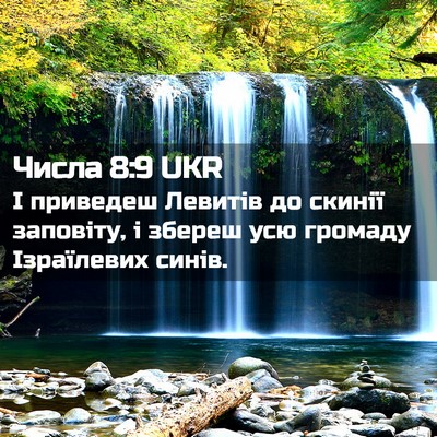 Picture 02 - Числа 8:9 UKR - І приведеш Левитів до - Bible Verse Picture