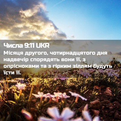 Picture 02 - Числа 9:11 UKR - Місяця другого, - Bible Verse Picture
