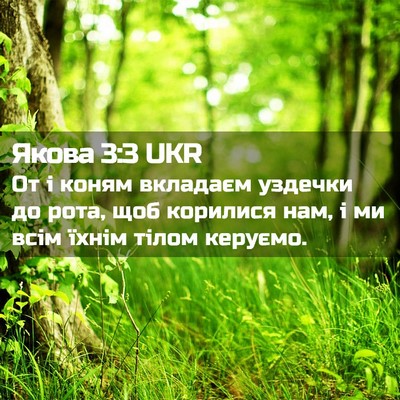 Picture 02 - Якова 3:3 UKR - От і коням вкладаєм - Bible Verse Picture