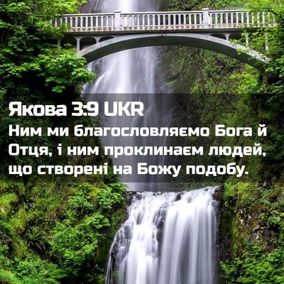 Picture 02 - Якова 3:9 UKR - Ним ми благословляємо Бога - Bible Verse Picture