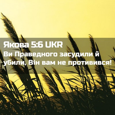 Picture 02 - Якова 5:6 UKR - Ви Праведного засудили й - Bible Verse Picture