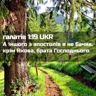 Picture 02 - галатів 1:19 UKR - А іншого з апостолів я не - Bible Verse Picture