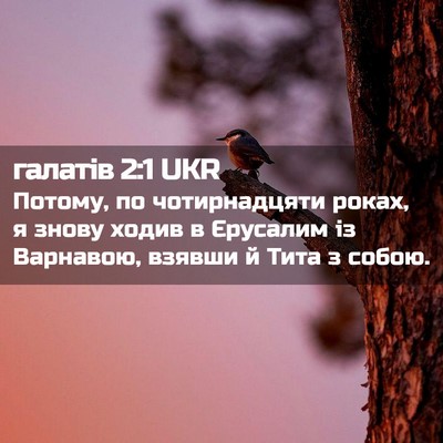 Picture 02 - галатів 2:1 UKR - Потому, по чотирнадцяти - Bible Verse Picture