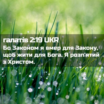 Picture 02 - галатів 2:19 UKR - Бо Законом я вмер для - Bible Verse Picture
