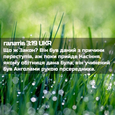 Picture 02 - галатів 3:19 UKR - Що ж Закон? Він був даний з - Bible Verse Picture
