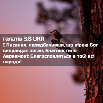 Picture 02 - галатів 3:8 UKR - І Писання, передбачивши, що - Bible Verse Picture