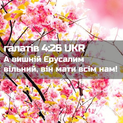 Picture 02 - галатів 4:26 UKR - А вишній Єрусалим вільний, - Bible Verse Picture