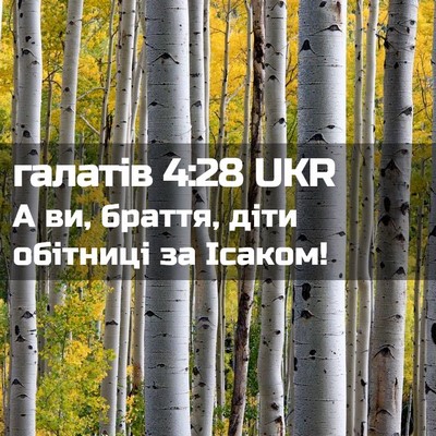 Picture 02 - галатів 4:28 UKR - А ви, браття, діти обітниці - Bible Verse Picture