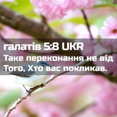 Picture 02 - галатів 5:8 UKR - Таке переконання не від - Bible Verse Picture