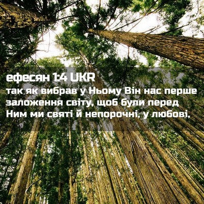 Picture 02 - ефесян 1:4 UKR - так як вибрав у Ньому Він - Bible Verse Picture