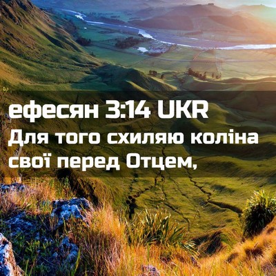Picture 02 - ефесян 3:14 UKR - Для того схиляю коліна - Bible Verse Picture