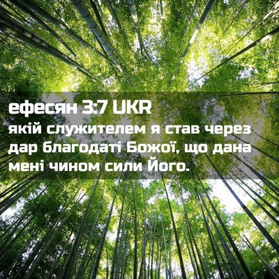 Picture 02 - ефесян 3:7 UKR - якій служителем я став - Bible Verse Picture