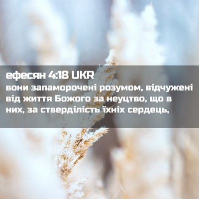 Picture 02 - ефесян 4:18 UKR - вони запаморочені розумом, - Bible Verse Picture