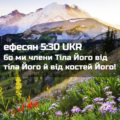 Picture 02 - ефесян 5:30 UKR - бо ми члени Тіла Його від - Bible Verse Picture