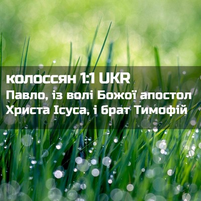 Picture 02 - колоссян 1:1 UKR - Павло, із волі Божої - Bible Verse Picture