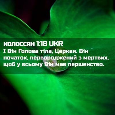 Picture 02 - колоссян 1:18 UKR - І Він Голова тіла, Церкви. - Bible Verse Picture