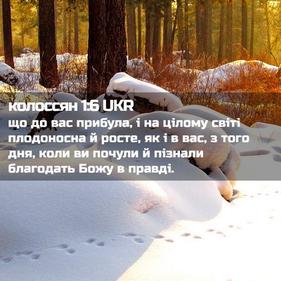 Picture 02 - колоссян 1:6 UKR - що до вас прибула, і на - Bible Verse Picture