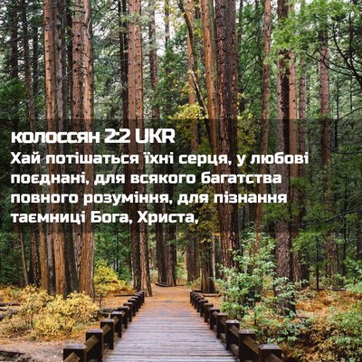 Picture 02 - колоссян 2:2 UKR - Хай потішаться їхні серця, - Bible Verse Picture
