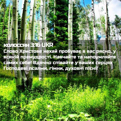 Picture 02 - колоссян 3:16 UKR - Слово Христове нехай - Bible Verse Picture