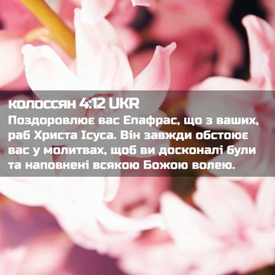 Picture 02 - колоссян 4:12 UKR - Поздоровлює вас Епафрас, - Bible Verse Picture