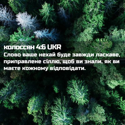 Picture 02 - колоссян 4:6 UKR - Слово ваше нехай буде - Bible Verse Picture