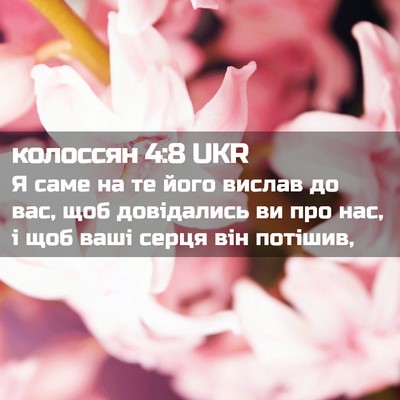 Picture 02 - колоссян 4:8 UKR - Я саме на те його вислав до - Bible Verse Picture