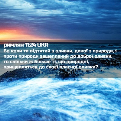 Picture 02 - римлян 11:24 UKR - Бо коли ти відтятий з - Bible Verse Picture