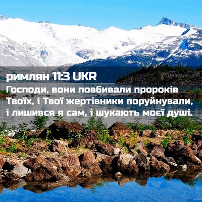 Picture 02 - римлян 11:3 UKR - Господи, вони повбивали - Bible Verse Picture