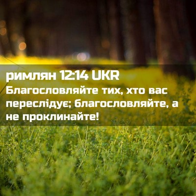 Picture 02 - римлян 12:14 UKR - Благословляйте тих, хто - Bible Verse Picture