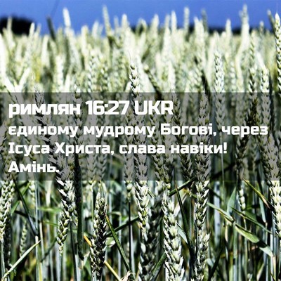 Picture 02 - римлян 16:27 UKR - єдиному мудрому Богові, - Bible Verse Picture